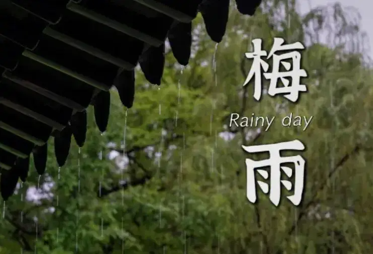 金煌四時煥新寶典｜小滿特輯：告別“霉味”實用指南